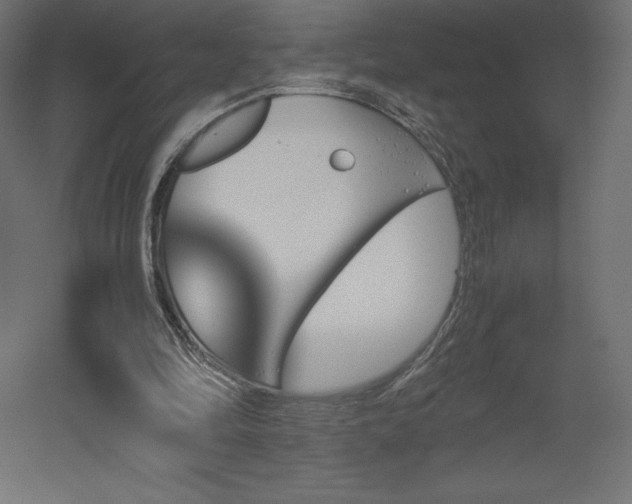 X0000051910294200507011541