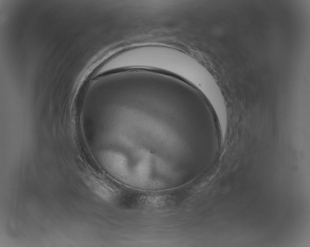 X0000051910295200507011541