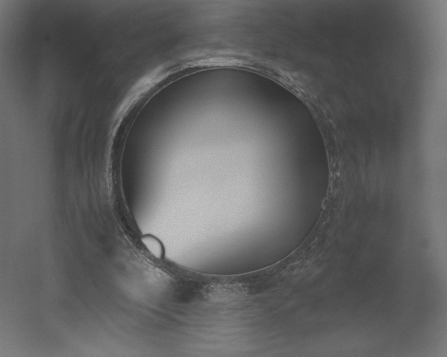 X0000051910296200507011541