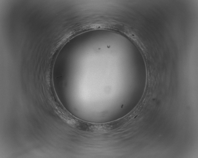 X0000051910297200507011541