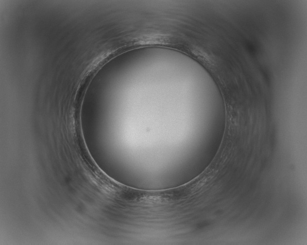 X0000051910298200507011541