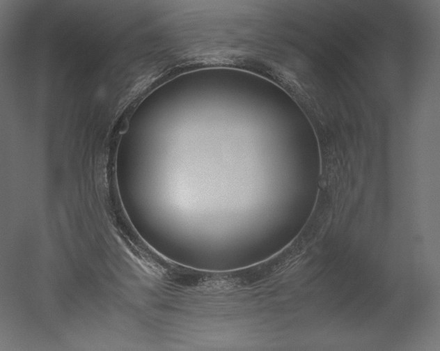 X0000051910299200507011541