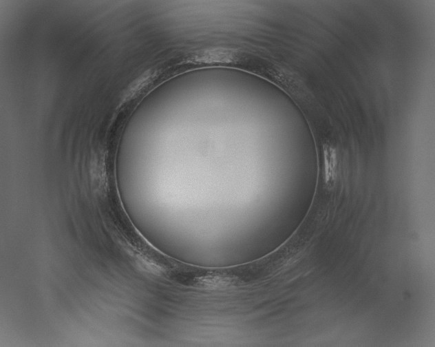 X0000051910300200507011541