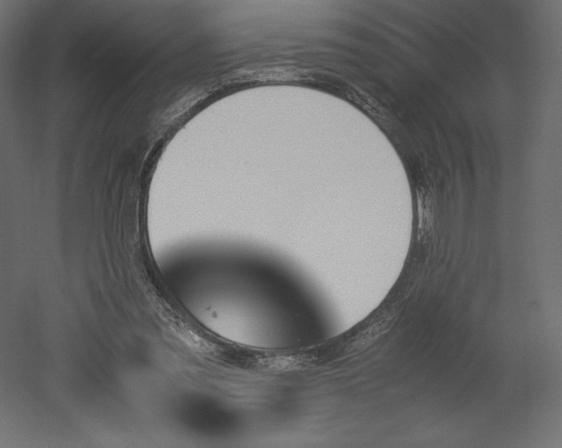 X0000051910301200507011540