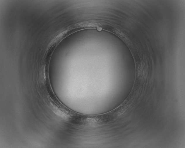 X0000051910302200507011540