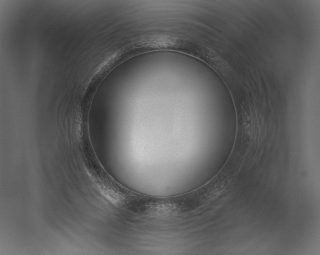 X0000051910304200507011540