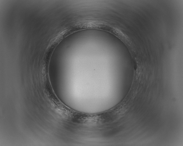 X0000051910306200507011540