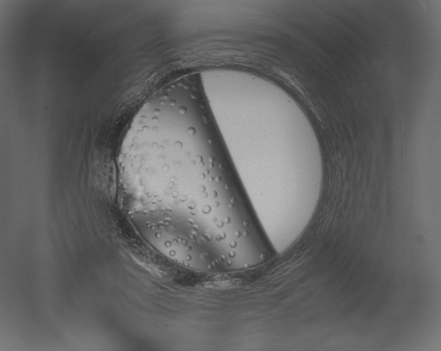 X0000051910307200507011540