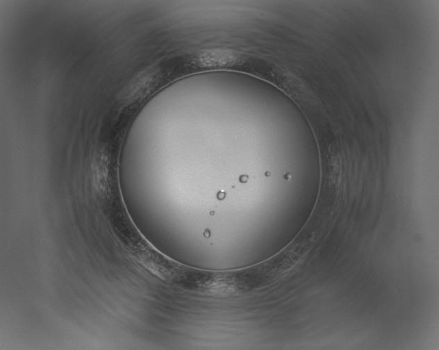 X0000051910308200507011540