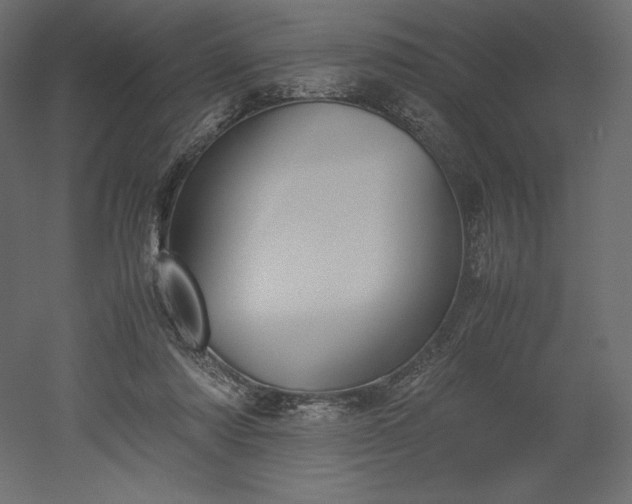 X0000051910310200507011540