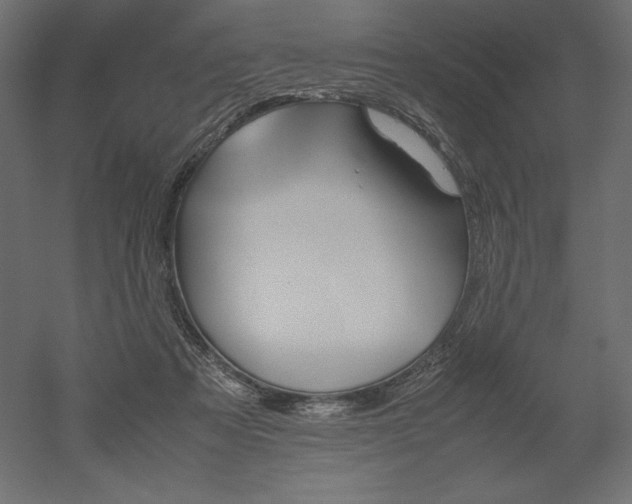 X0000051910313200507011540