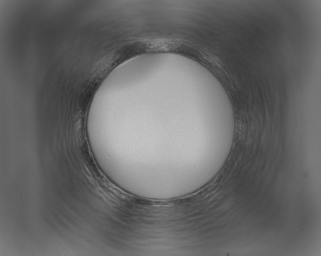 X0000051910314200507011540