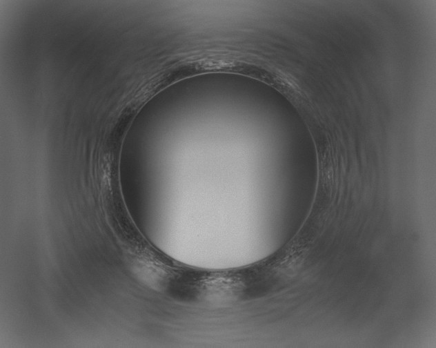 X0000051910315200507011540