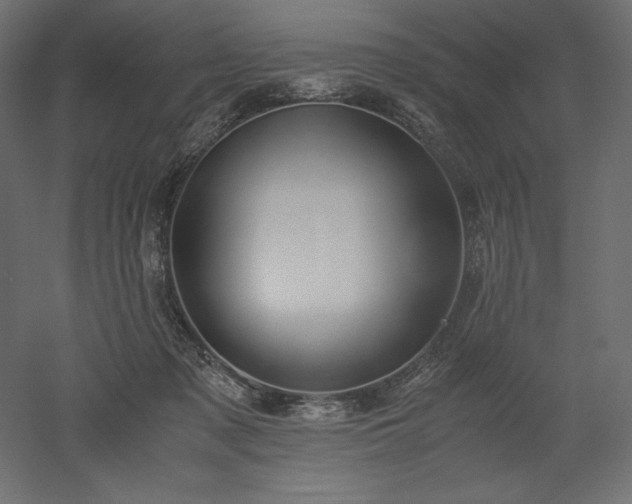 X0000051910317200507011540