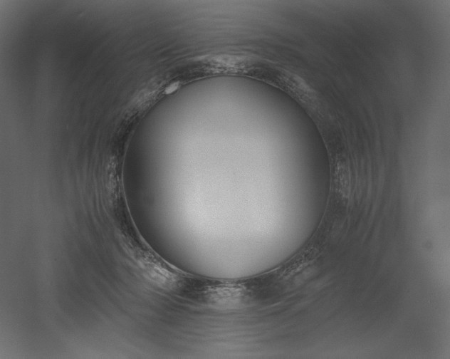 X0000051910318200507011540