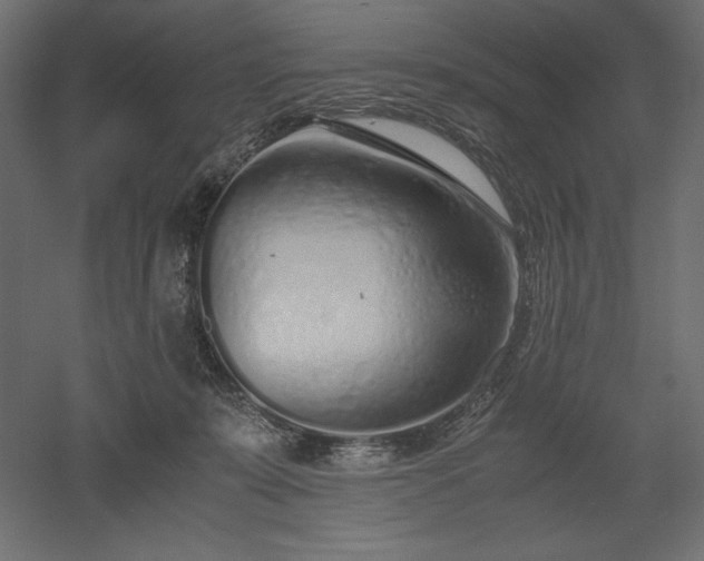 X0000051910319200507011540