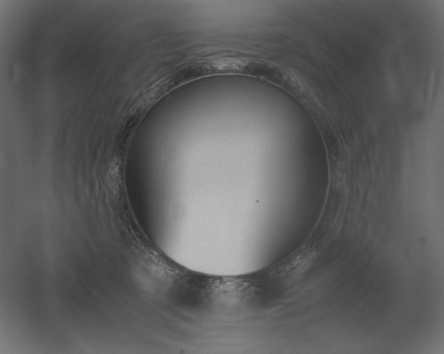 X0000051910321200507011540