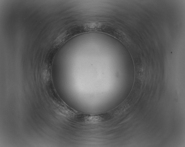 X0000051910324200507011540