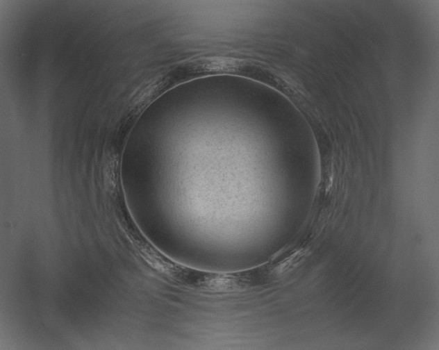 X0000051910325200507011540