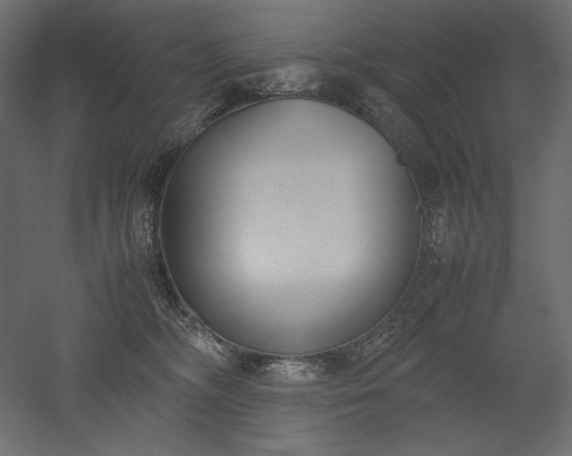 X0000051910326200507011540