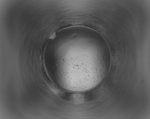 X0000051910327200507011540