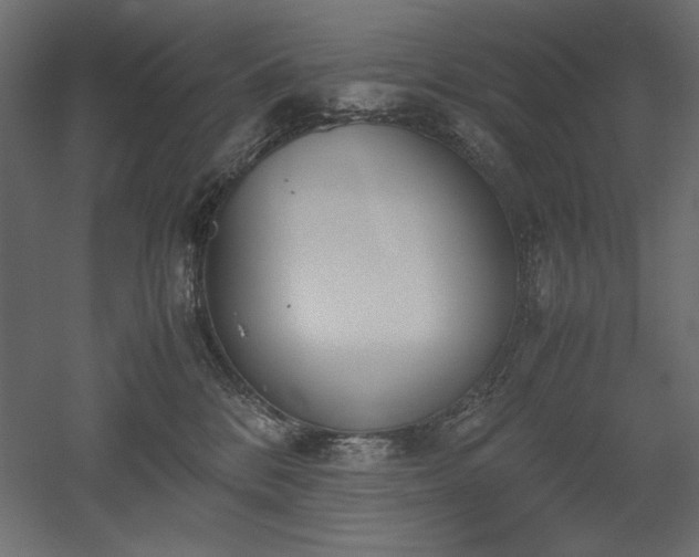 X0000051910328200507011540