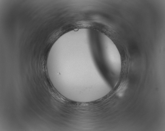 X0000051910330200507011540