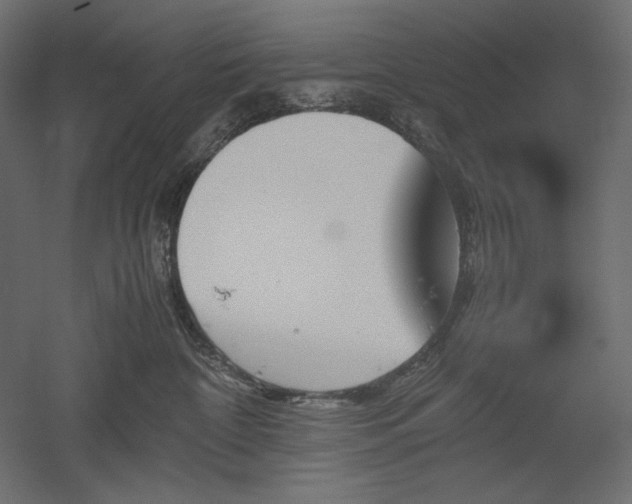 X0000051910332200507011540