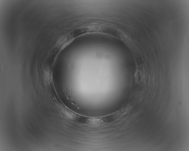 X0000051910333200507011540