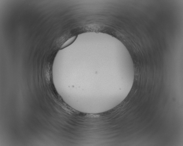 X0000051910334200507011540