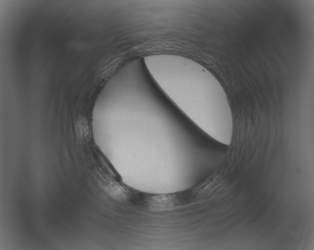 X0000051910335200507011540