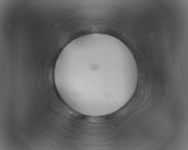 X0000051910336200507011540