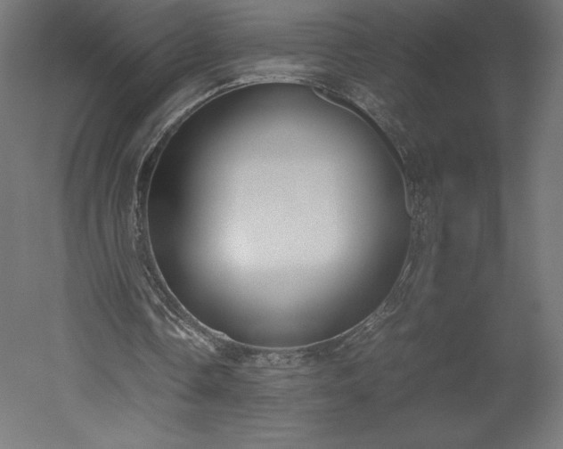 X0000051910338200507011539