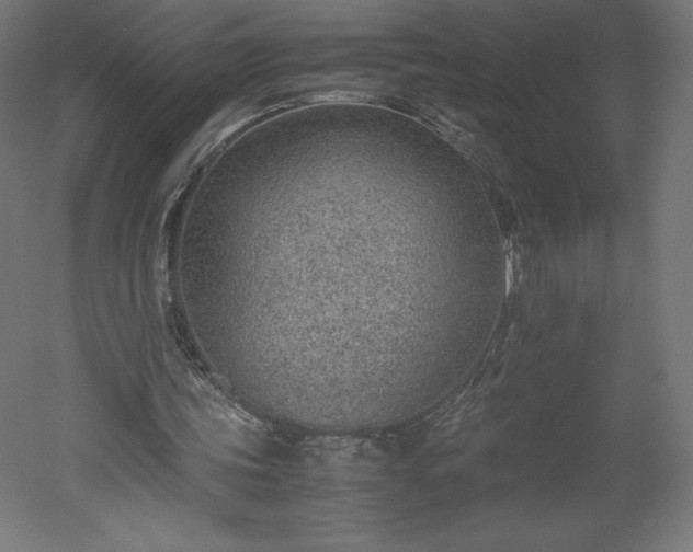 X0000051910339200507011539