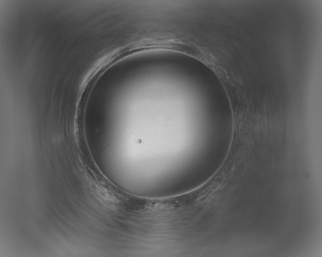 X0000051910340200507011539