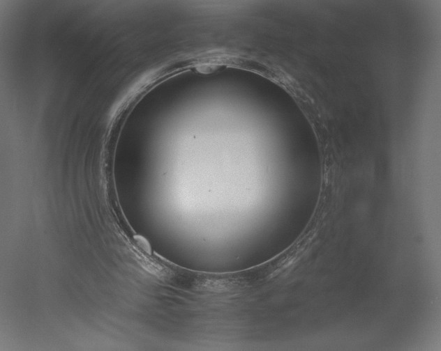 X0000051910341200507011539