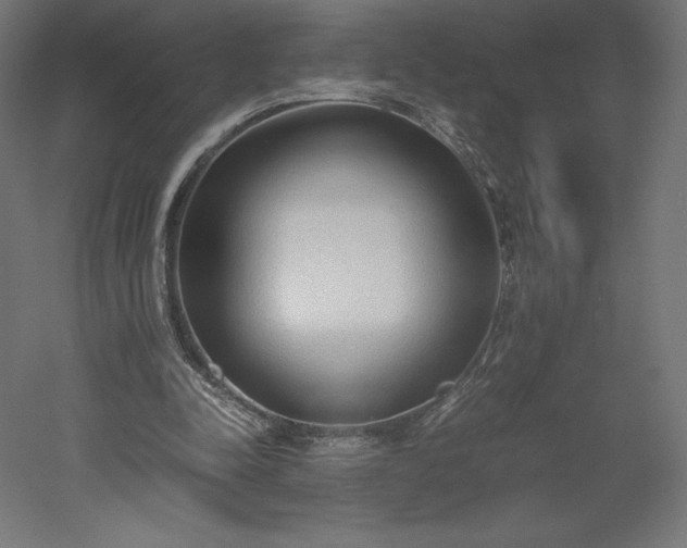 X0000051910342200507011539