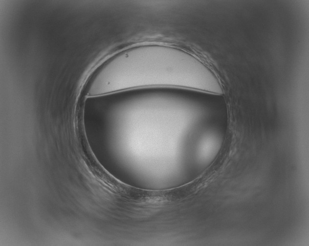 X0000051910344200507011539