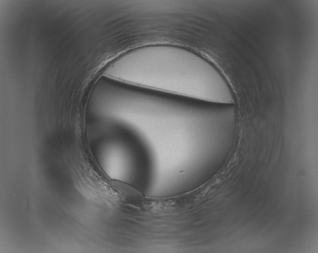 X0000051910345200507011539