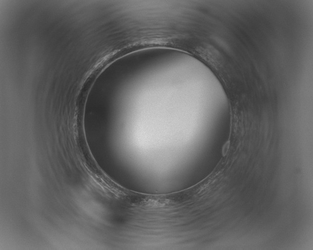 X0000051910346200507011539