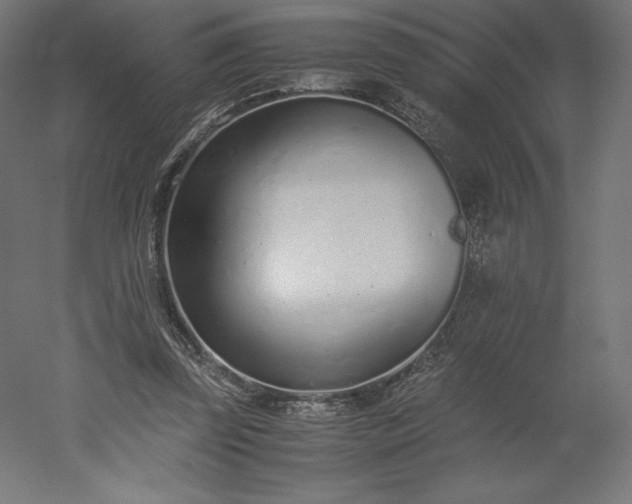 X0000051910347200507011539