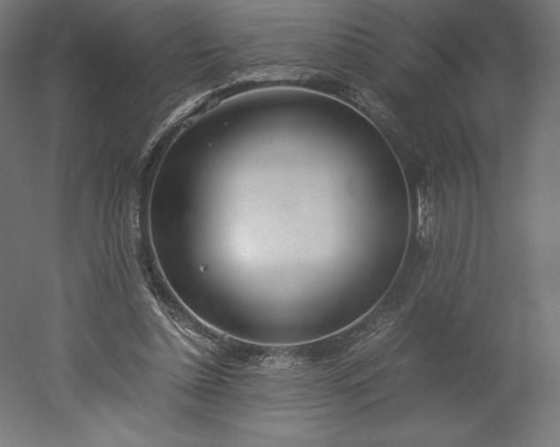 X0000051910348200507011539