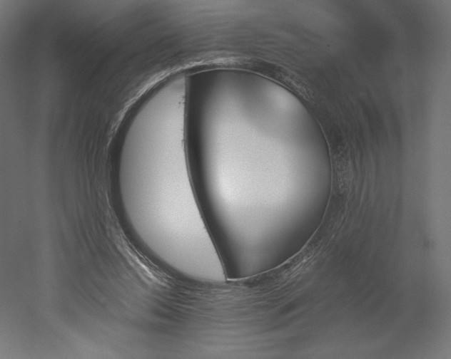 X0000051910350200507011539