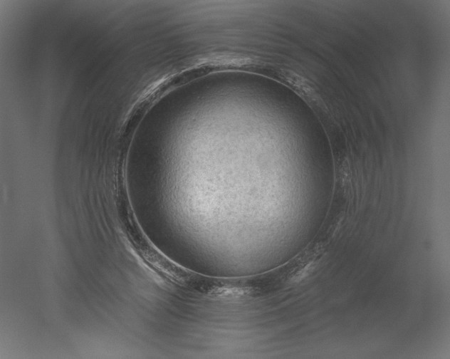 X0000051910352200507011539