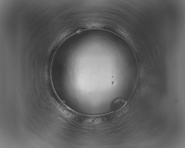 X0000051910353200507011539