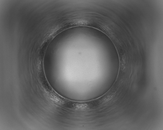 X0000051910355200507011539