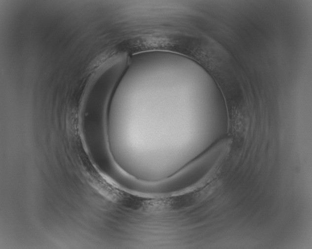 X0000051910356200507011539