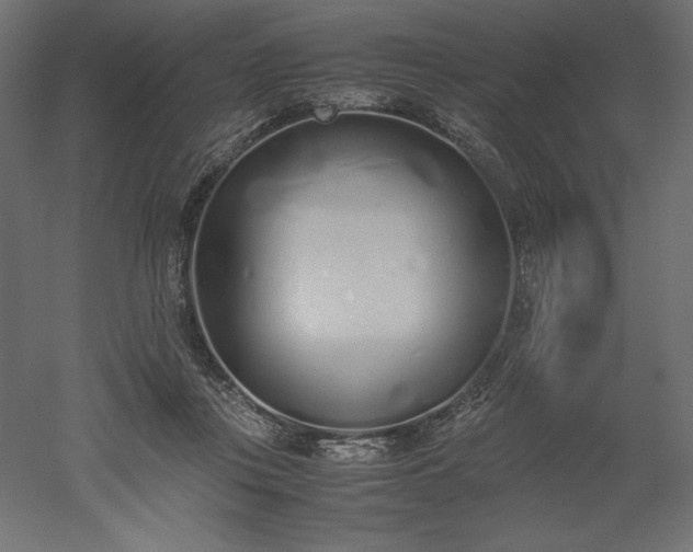 X0000051910359200507011539