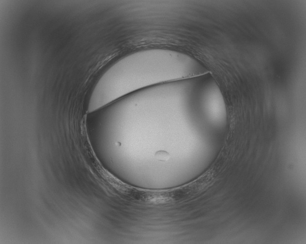 X0000051910360200507011539