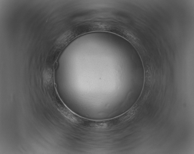 X0000051910361200507011539